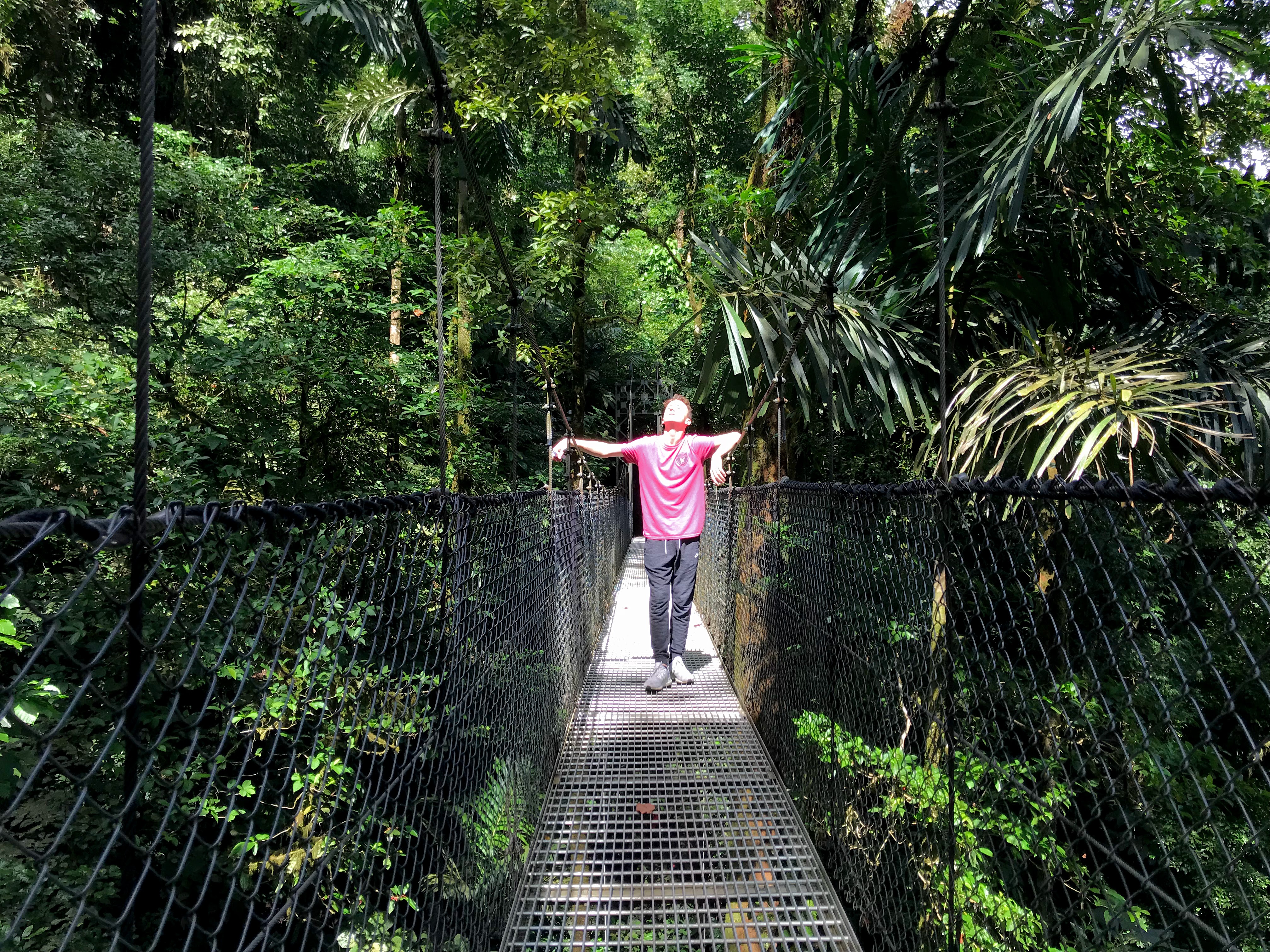 Heavenly jungle