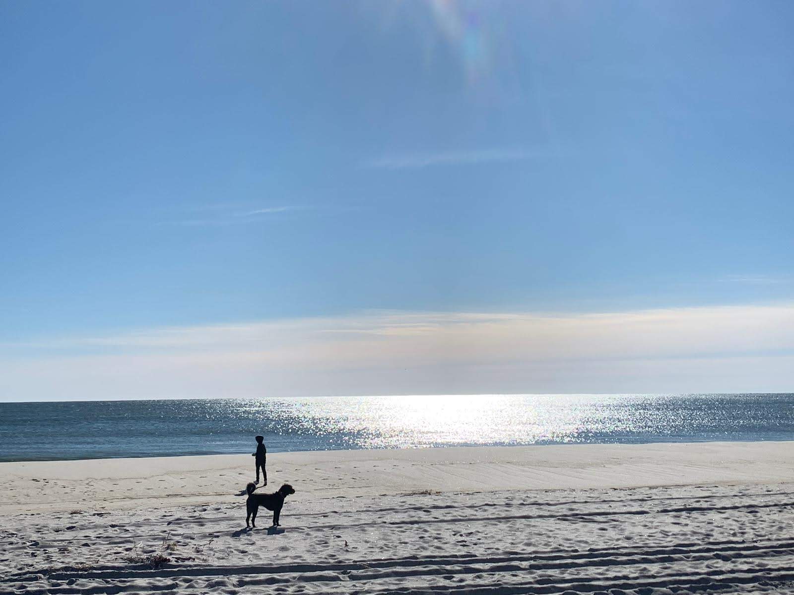 Morning stroll