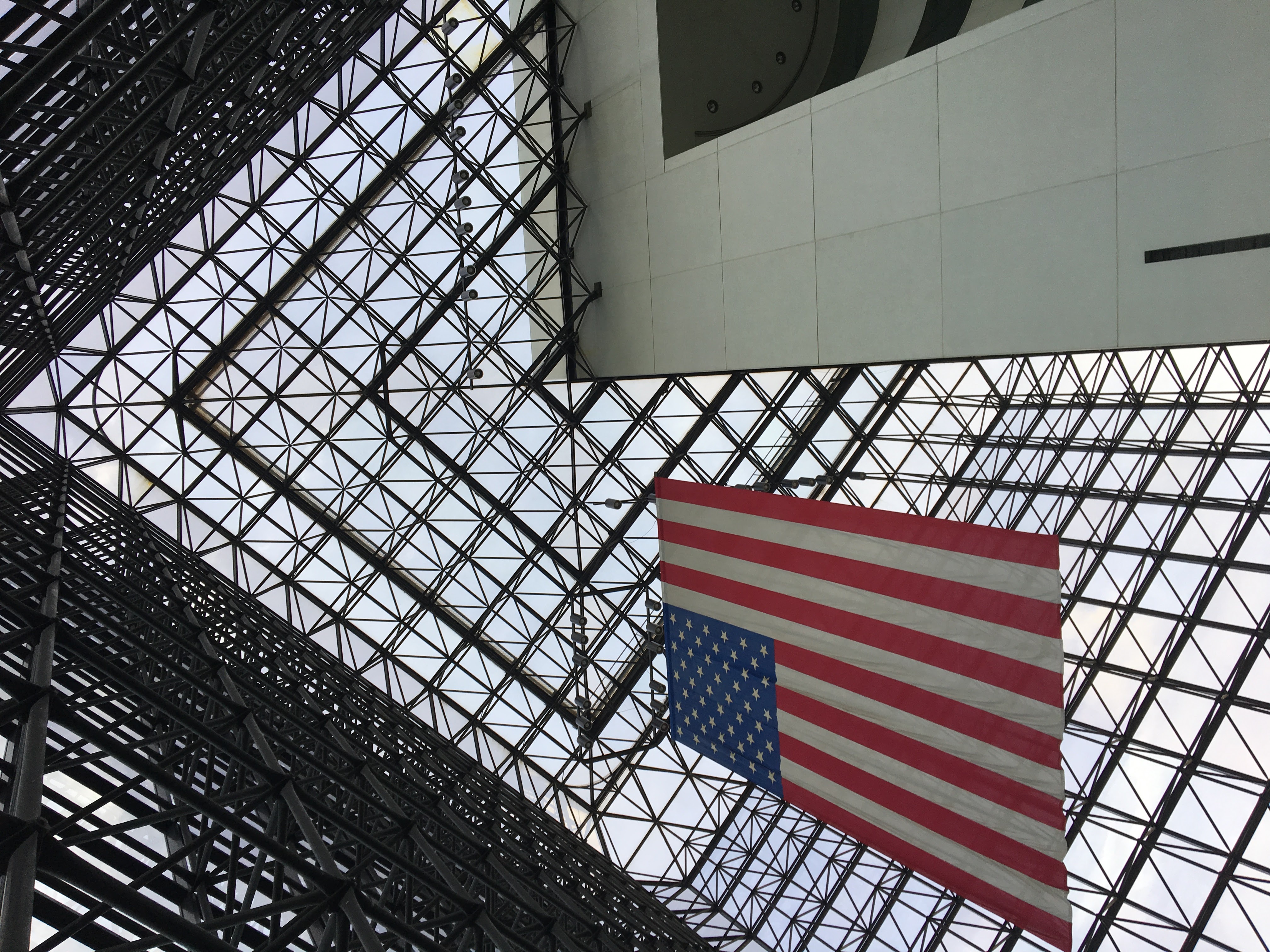 Patriotic cage
